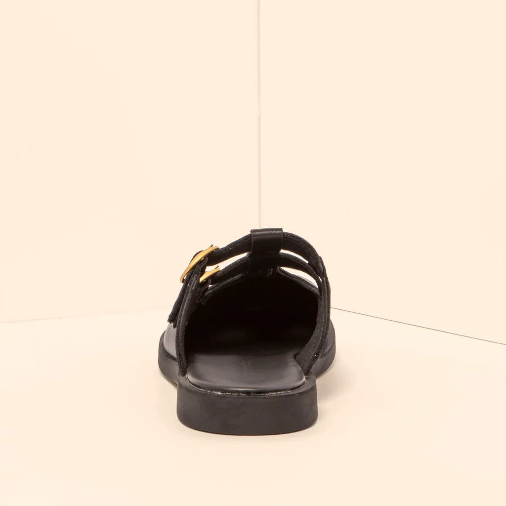 Arenisca Slide
