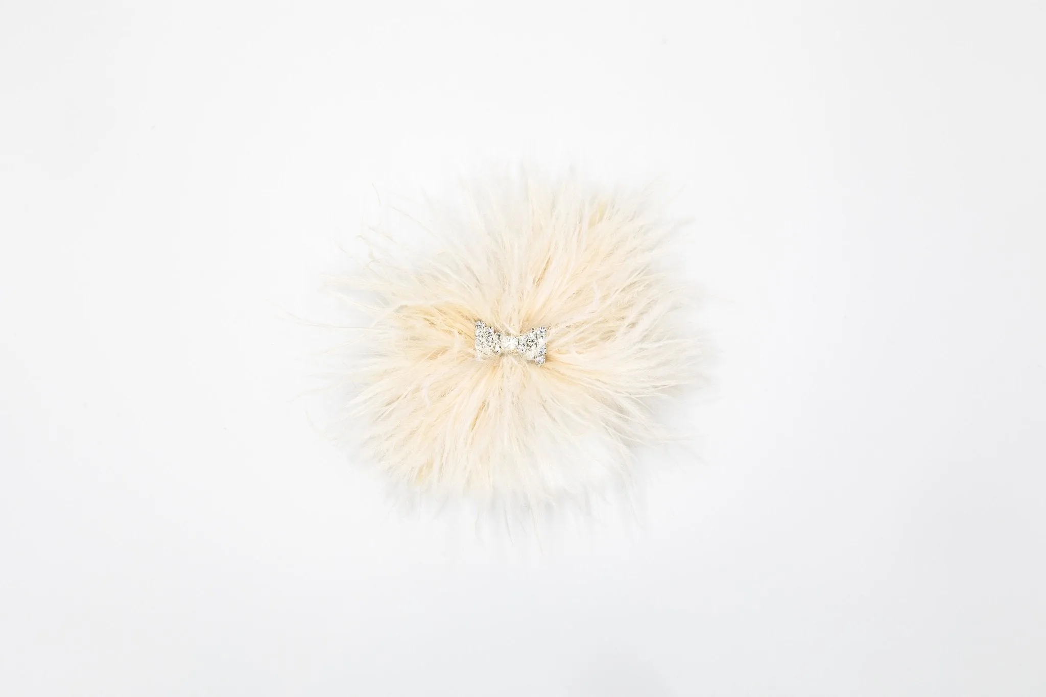 Jeweled Plume Shoe Clip