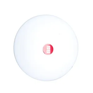 SS Bowling Marker